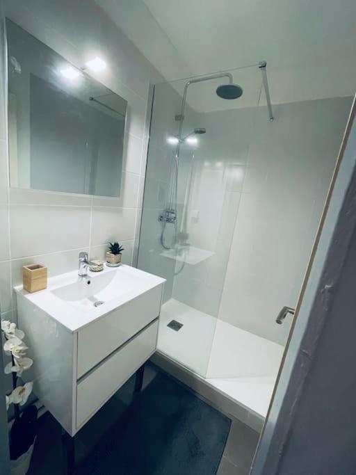 Appartement En Centre Ville, Wifi Et Tram มงต์เปอลิเยร์ ภายนอก รูปภาพ